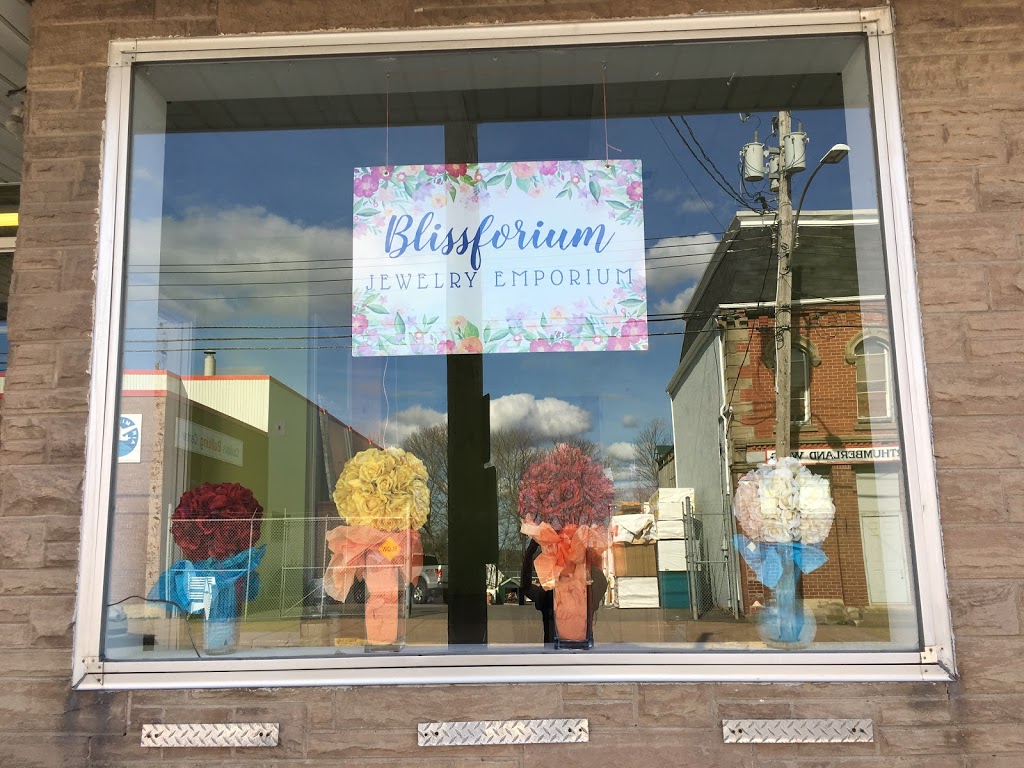 Blissforium | 64 Station Rd, Hopewell, NS B0K 1C0, Canada | Phone: (902) 396-7905