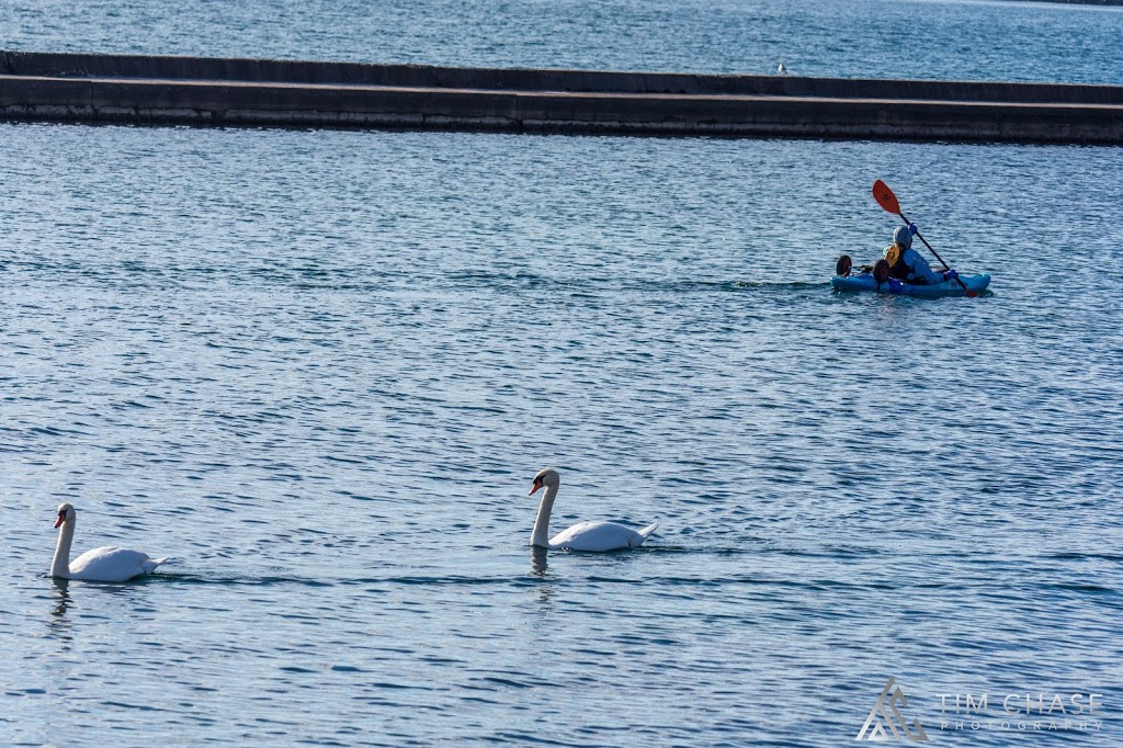 Toronto Adventures: Sunnyside Beach Paddling Centre | Sunnyside, Toronto, ON M6S 5A3, Canada | Phone: (416) 536-2067