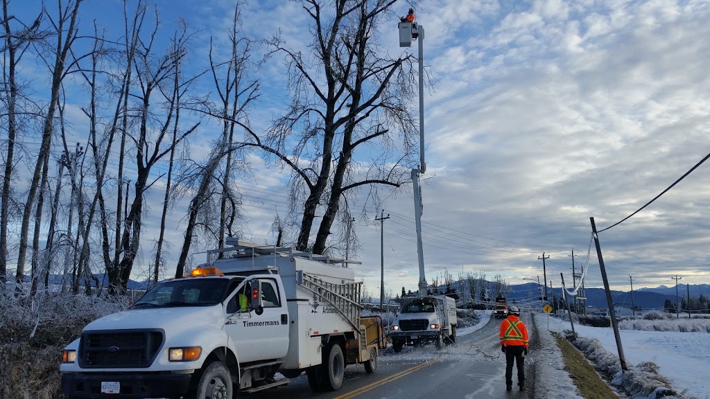 Timmermans Tree Service | 1900 Interprovincial Hwy, Abbotsford, BC V3G 2H7, Canada | Phone: (604) 504-5381