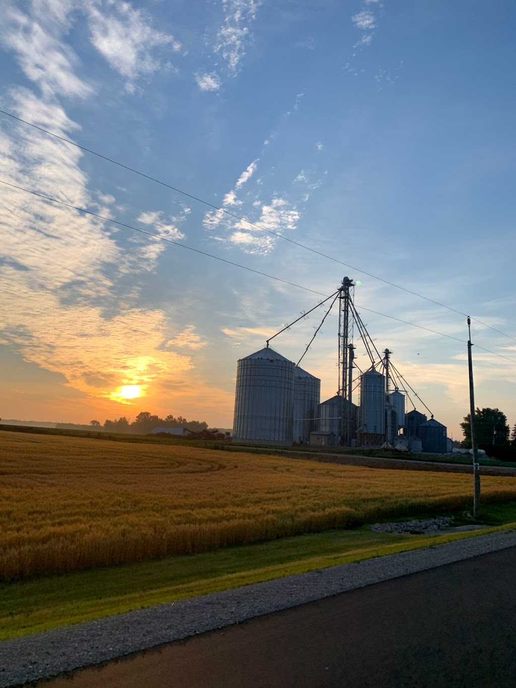 Mount Pleasant Grains Ltd. | 5896 Line 16, Fullarton, ON N0K 1H0, Canada | Phone: (519) 274-5369