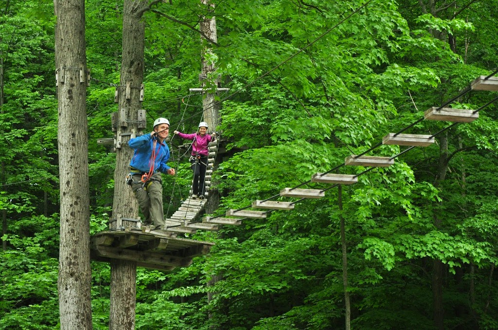 Treetop Trekking Barrie at Horseshoe Valley | 1101 Horseshoe Valley Rd. Comp 10 R.R. #1, Barrie, ON L4M 4Y8, Canada | Phone: (705) 835-7600