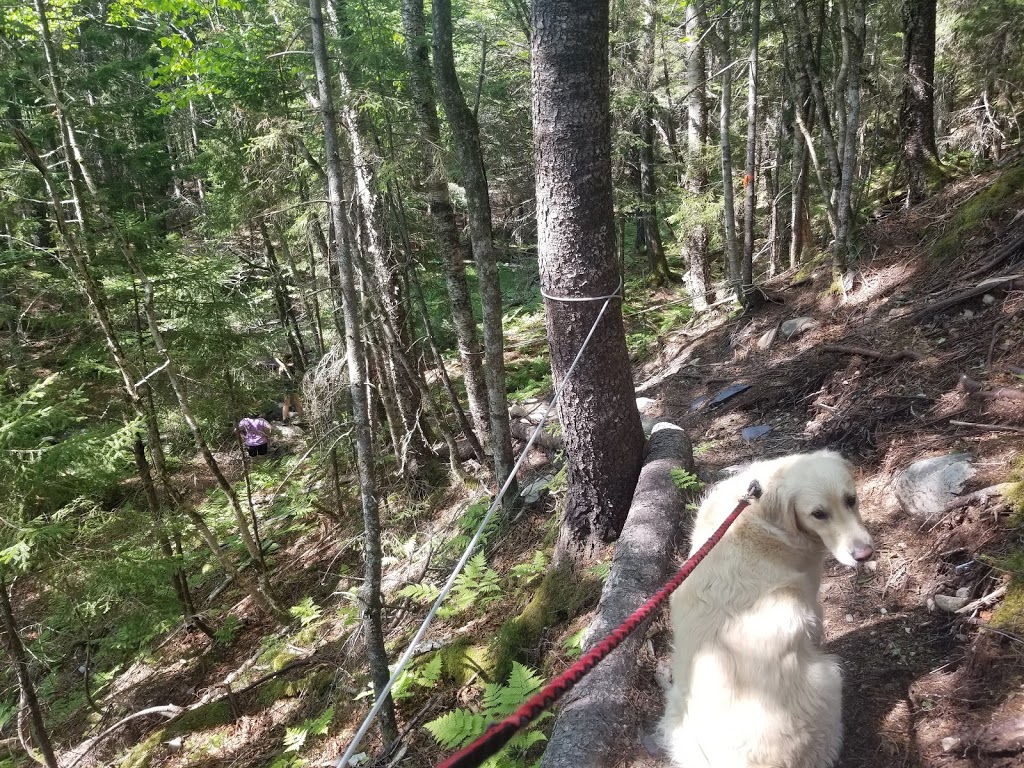 Long Beach Brook Falls Trailhead | Fundy Trail Pkwy, Saint Martins Parish, NB E5R, Canada | Phone: (866) 386-3987