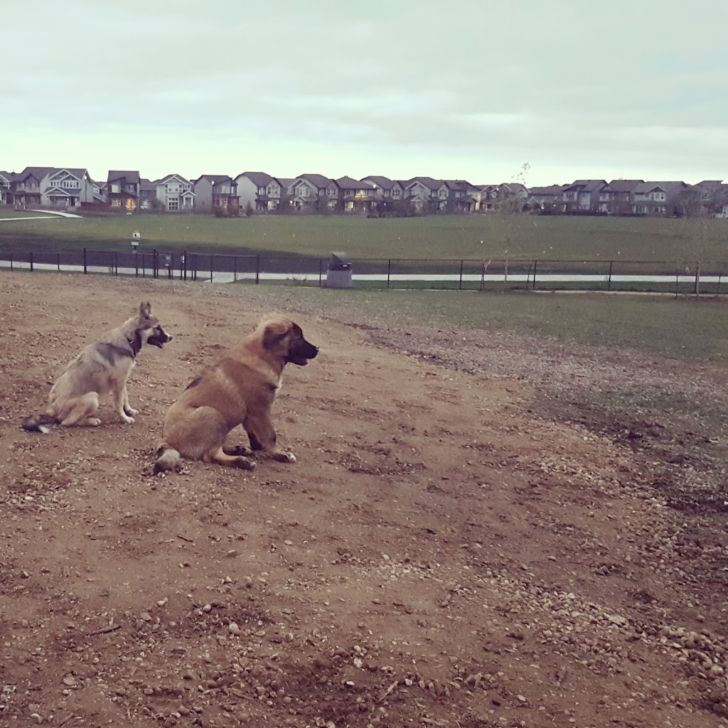 Paisley Dog Park | 3051 Paisley Green SW, Edmonton, AB T6W 1A3, Canada