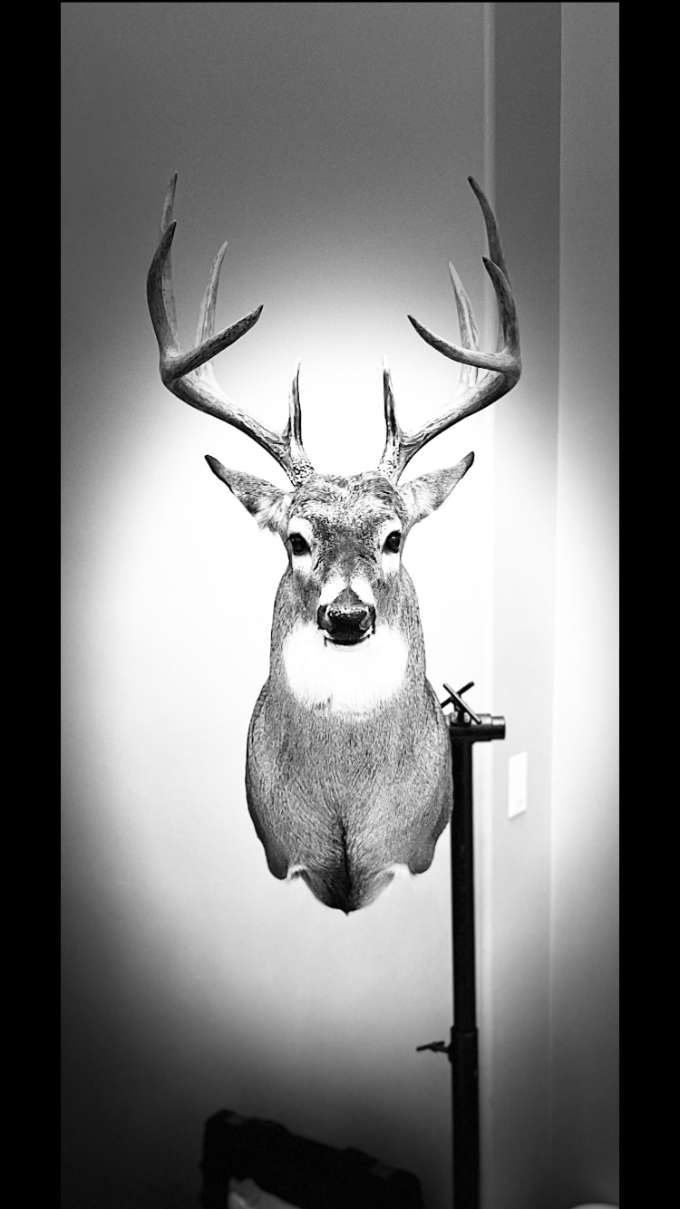 Pine View Taxidermy | Rd 32N #43044, La Broquerie, MB R0A 0W0, Canada | Phone: (204) 392-2485