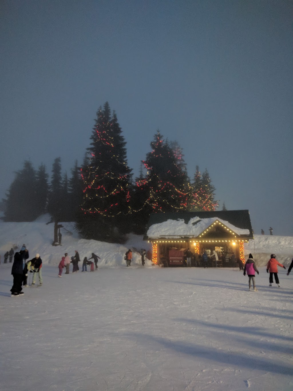 Grouse Mountain Skating Rink | North Vancouver, BC V7R 4K9, Canada