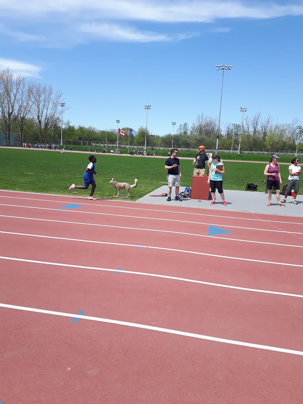 Ottawa Lions Track & Field Club | 2960 Riverside Dr., Ottawa, ON K1V 8N4, Canada | Phone: (613) 247-4886