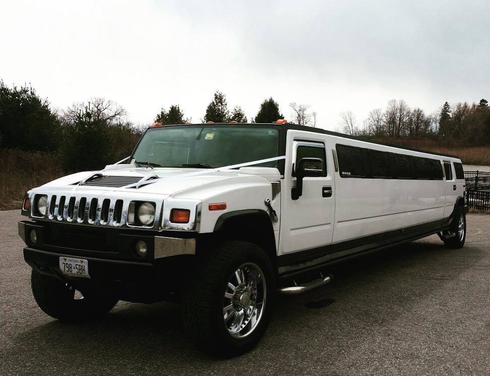 CEDAR VALLEY LIMOUSINE SERVICES INC | 17 Vinyl Ct, Woodbridge, ON L4L 4A3, Canada | Phone: (647) 772-1994