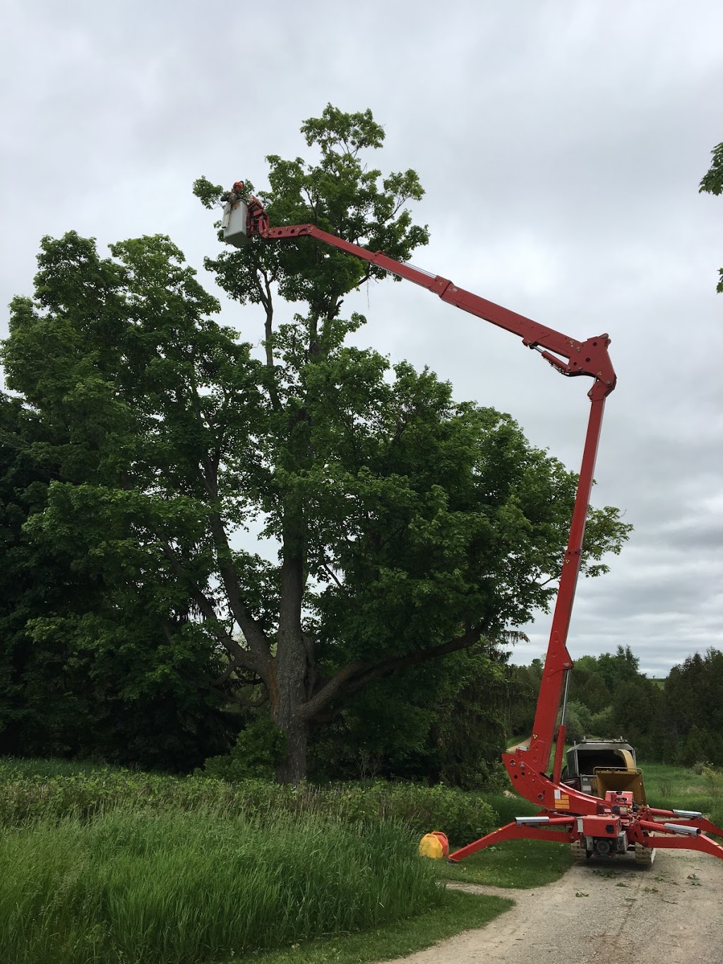 A&J Tree and Shrub Care Inc. | 451 Wilson St, Eden Mills, ON N0B 1P0, Canada | Phone: (519) 856-4226