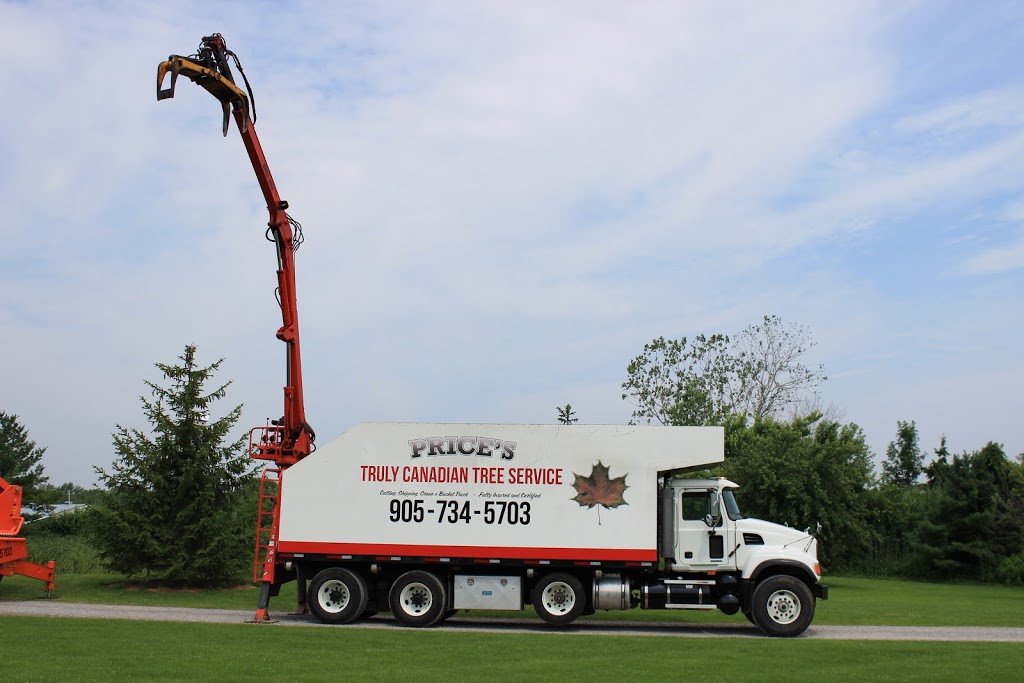 Truly Canadian Tree Service | 12274 Brawn Rd, Wainfleet, ON L0S 1V0, Canada | Phone: (905) 734-5703