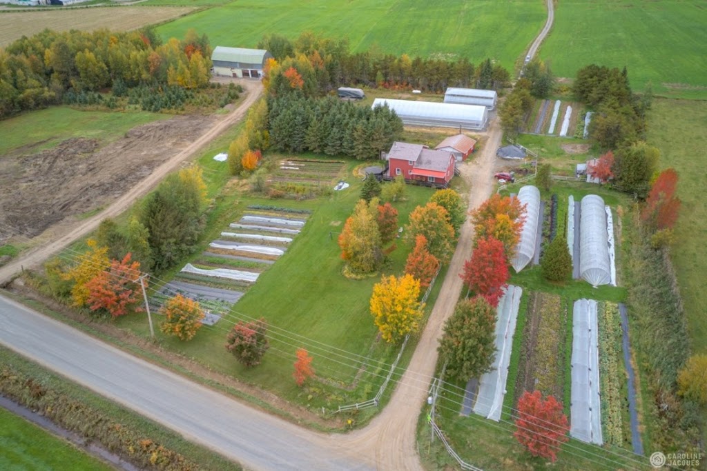 La Ferme des Sabots Fleuris | 361 Chemin de la Grosse Île, Laurierville, QC G0S 1P0, Canada | Phone: (581) 988-1205