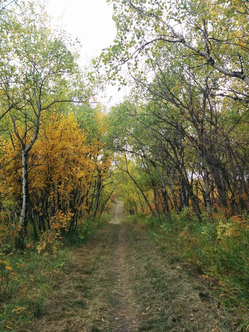 Riverlot 56 Natural Area | Poundmaker Rd, St. Albert, AB, Canada