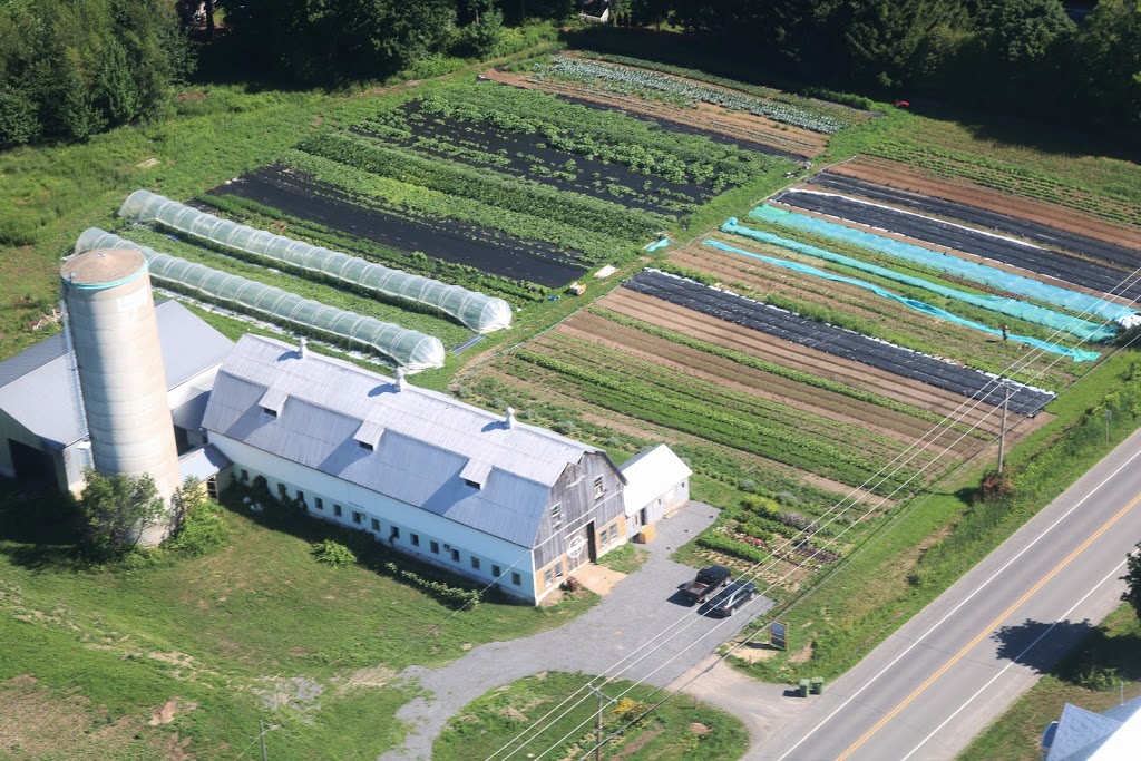 Ferme la Roquette | 42 Route du Canton, Brownsburg, QC J8G 1Y7, Canada | Phone: (450) 331-1342