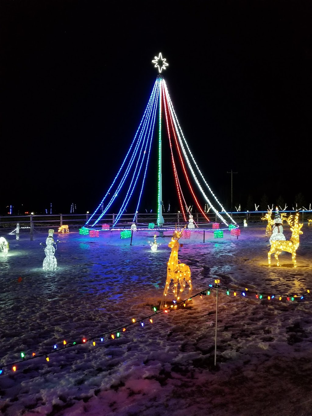 Leduc Country Lights | 25574 Township Rd 492, Leduc, AB T4X 2E7, Canada | Phone: (780) 721-9497