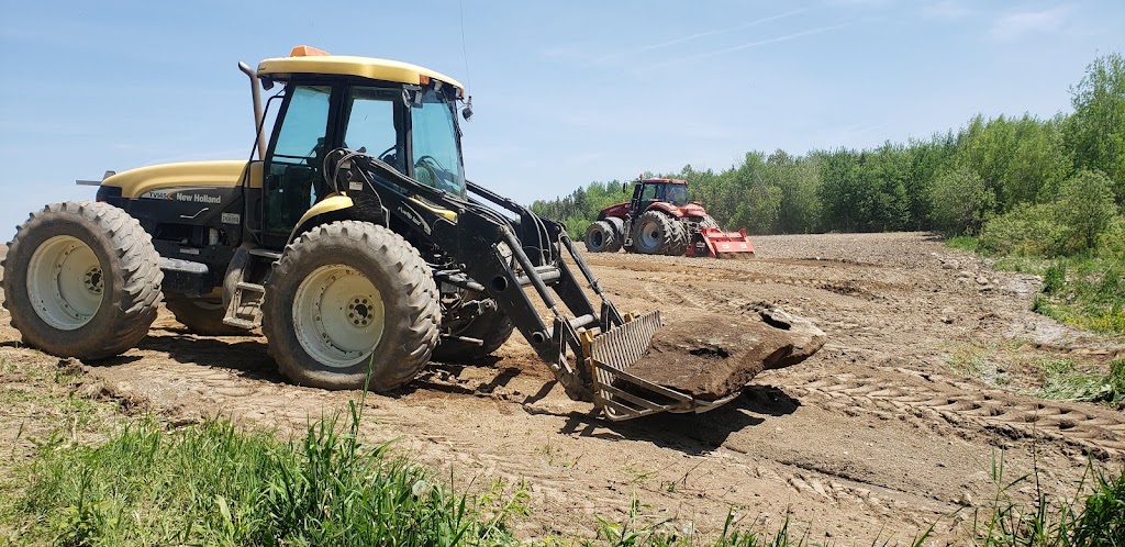 Ferme Porcité | 87 Rang du Bas-Saint-Jacques, Saint-Elzéar, QC G0S 2J0, Canada | Phone: (418) 805-8265