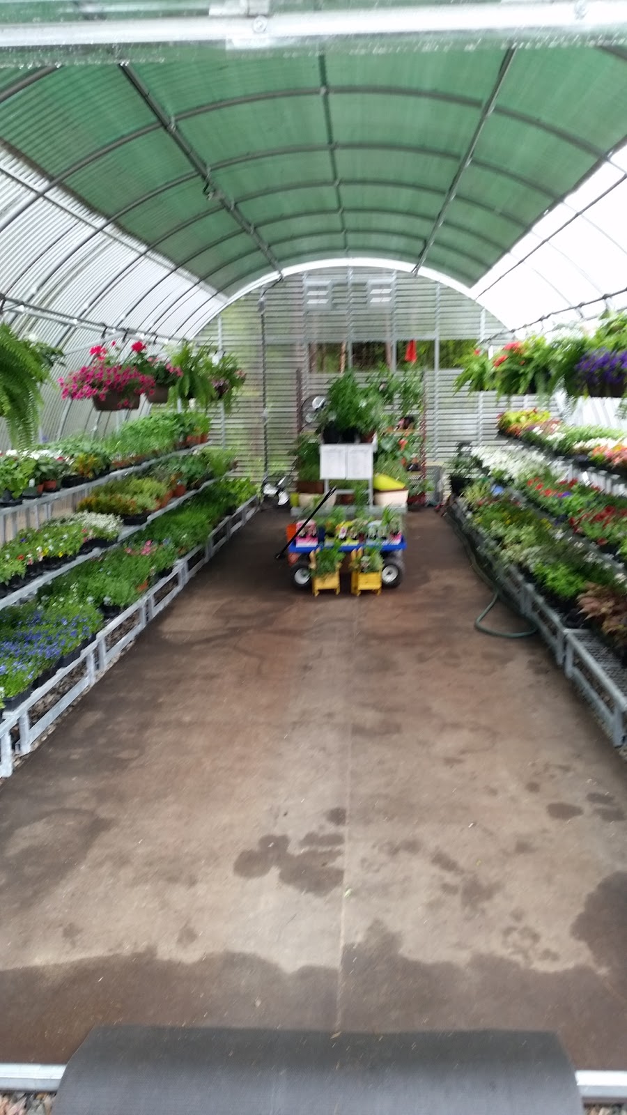 Season 2 Season Garden Market | 2849 Muskoka District Road 117, Baysville, ON P0B 1A0, Canada | Phone: (705) 767-1037