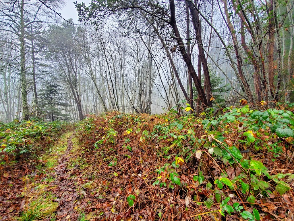 Namaste Farm | 2100 South Rd, Gabriola, BC V0R 1X6, Canada | Phone: (250) 616-6914