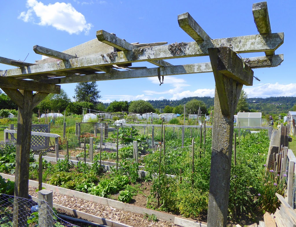 Colony Farm Community Gardens | Coquitlam, BC V3K, Canada