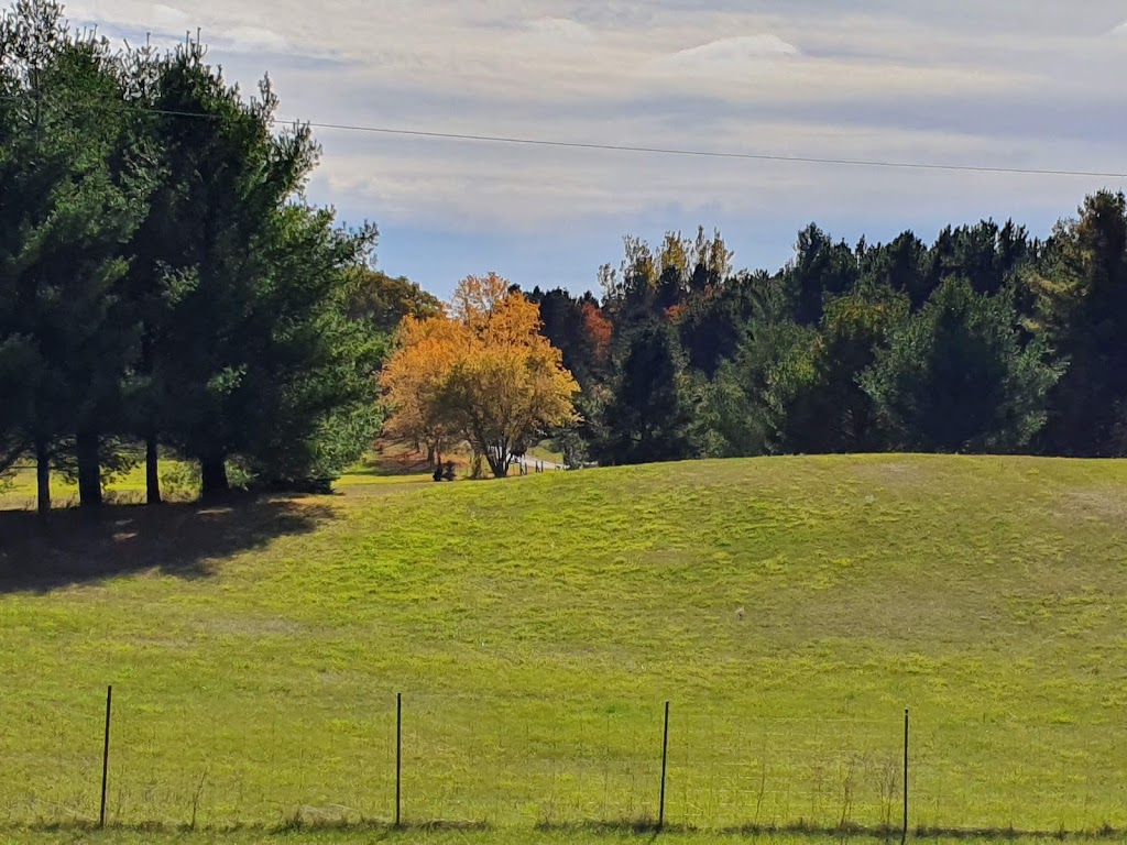 Shakerhill Farm | 708113, County Rd-21, Mulmur, ON L9V 0X1, Canada | Phone: (705) 466-2652