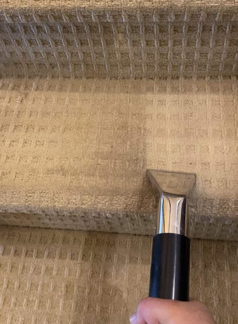 Lush Carpet Cleaning Surrey | 96 120 St, Surrey, BC V3V 4C1, Canada | Phone: (236) 833-6065