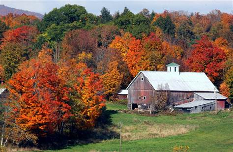 Earth Mama Acupuncture | 48 Main St, Montgomery Center, VT 05471, USA | Phone: (802) 851-0604