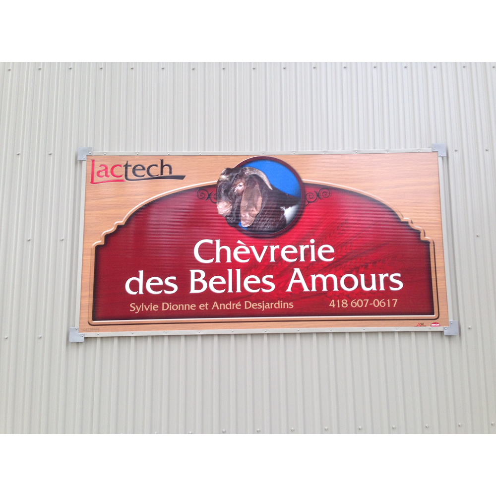 Chèvrerie des Belles Amours | 171 Chemin des Belles-Amours, LIslet, QC G0R 2B0, Canada | Phone: (418) 607-0617