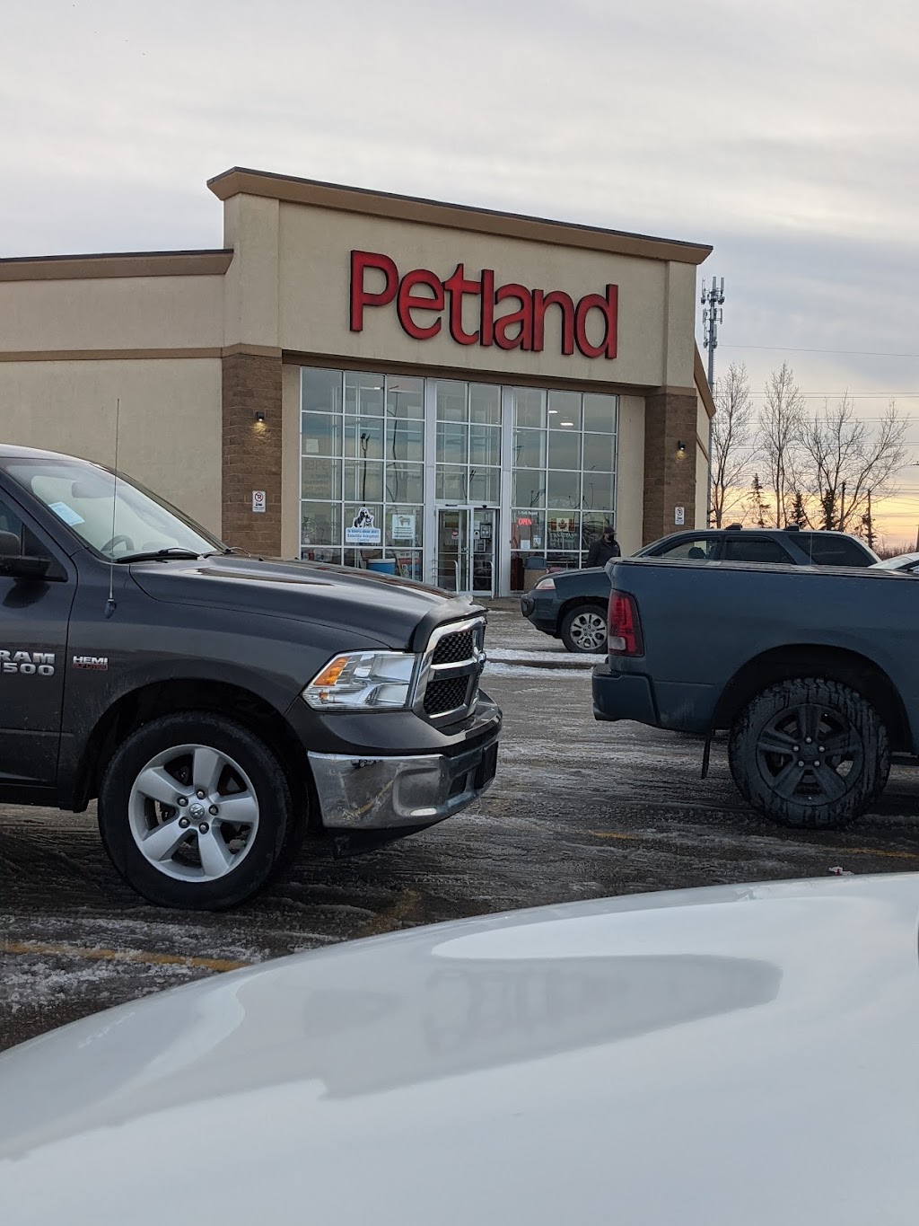 Petland Regent | 1546 Regent Ave W, Winnipeg, MB R2C 3B4, Canada | Phone: (204) 654-9806