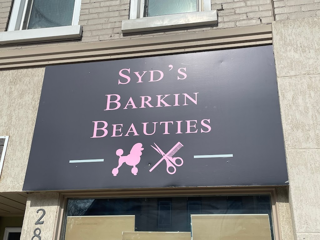 Syd’s Barkin Beauties | 288 Josephine St, Wingham, ON N0G 2W0, Canada | Phone: (519) 722-0916