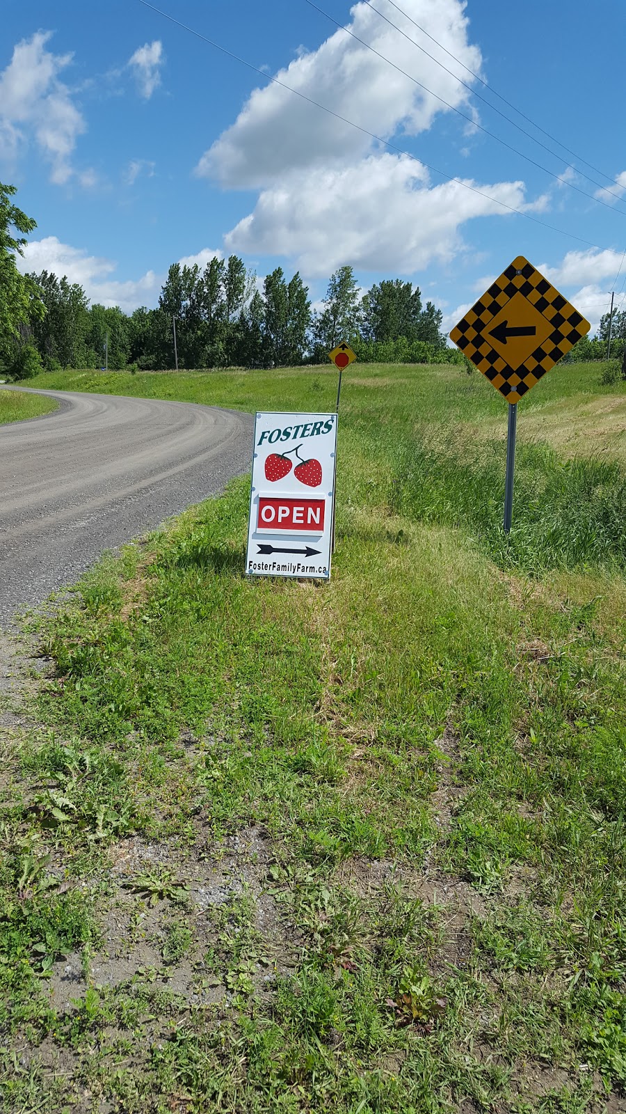 Foster Family Farm - PYO Strawberries | 2132 Lockhead Rd W, North Gower, ON K0A 2T0, Canada | Phone: (613) 851-3903