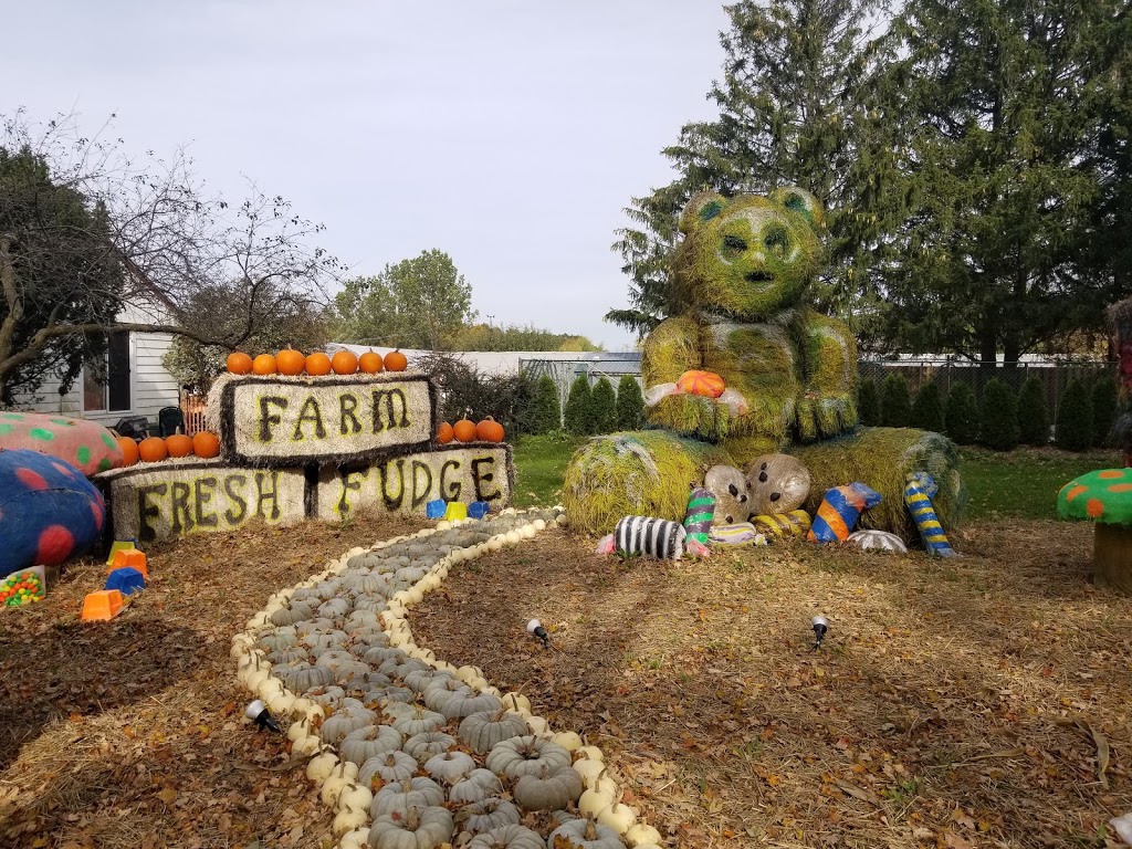 Howell Family Pumpkin Farm | 2878 Holland Rd, Fonthill, ON L0S 1E6, Canada | Phone: (905) 892-3918