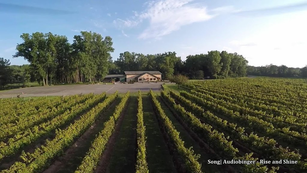 Spring Lake Winery | 7373 Rochester Rd, Lockport, NY 14094, USA | Phone: (716) 439-5253