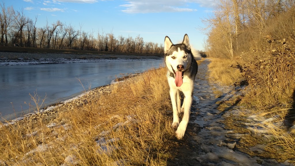 Southview Off Leash Area | Dover, Calgary, AB T2B, Canada