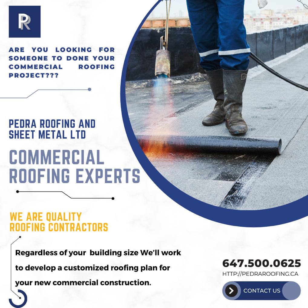 Pedra Roofing And Sheet Metal | 297 Paisley Blvd W, Mississauga, ON L5B 2S7, Canada | Phone: (647) 500-0625