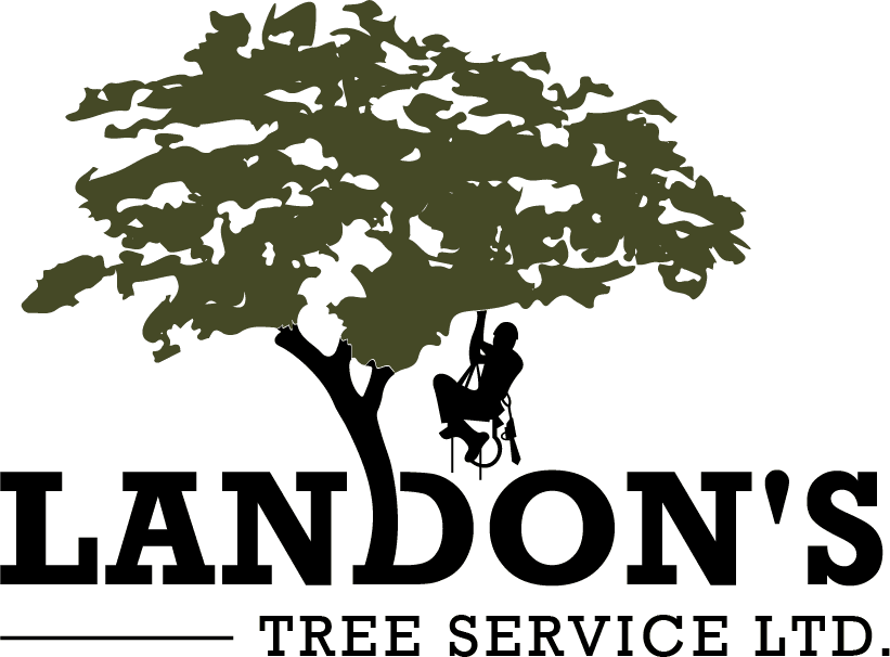 Landons Tree Service Ltd. | 2270 Puckrin Dr, Seagrave, ON L0C 1G0, Canada | Phone: (905) 260-3338