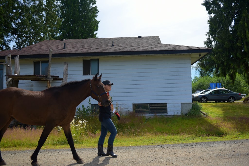 Sunny Riding Stables | 8020 216 St, Langley City, BC V2Y 2C7, Canada | Phone: (778) 896-3797