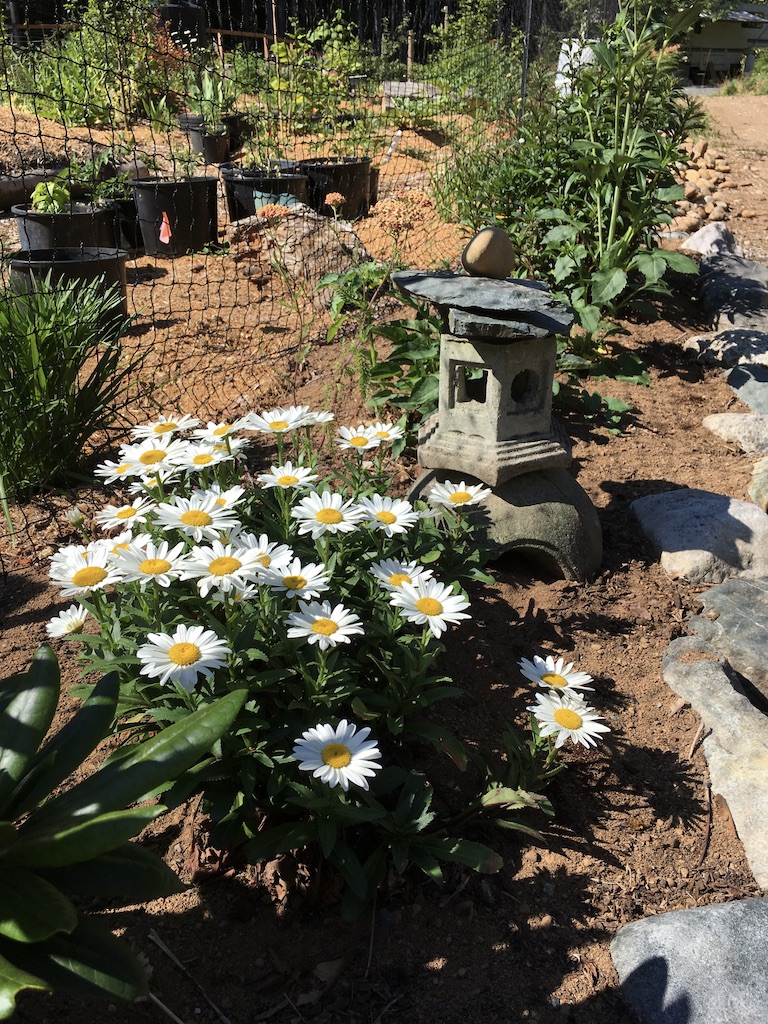 theDoighouse Earthship Build | 3585 Lioness Blvd, Qualicum Beach, BC V9K 2H1, Canada | Phone: (250) 607-9225