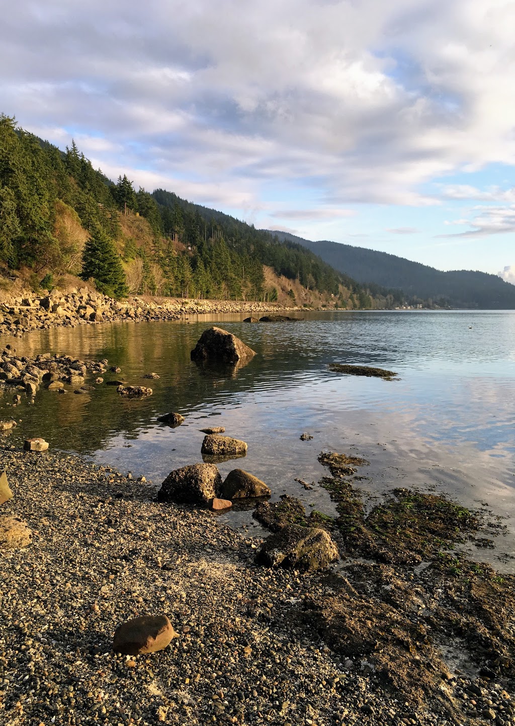 Teddy Bear Cove - Chuckanut Mountain Trails | 1467 Chuckanut Dr, Bellingham, WA 98229, USA | Phone: (360) 384-3444