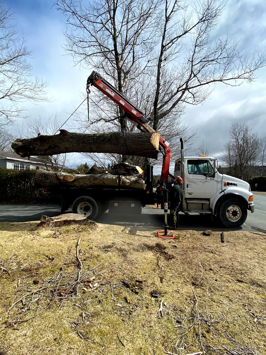 Nightingale Tree Service | 16 Nightingale Ln, Quispamsis, NB E2E 3T1, Canada | Phone: (506) 647-1055