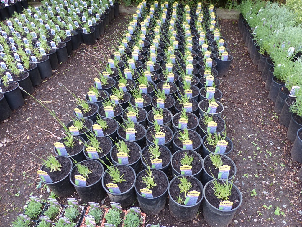 Northwest Bay Nursery | 2314 NW Bay Rd, Nanoose Bay, BC V9P 9B3, Canada | Phone: (250) 468-5953