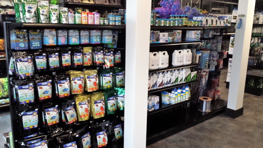 Oasis Fish & Reptile Ltd. | 8 Riel Dr #6, St. Albert, AB T8N 3Z7, Canada | Phone: (780) 458-0039