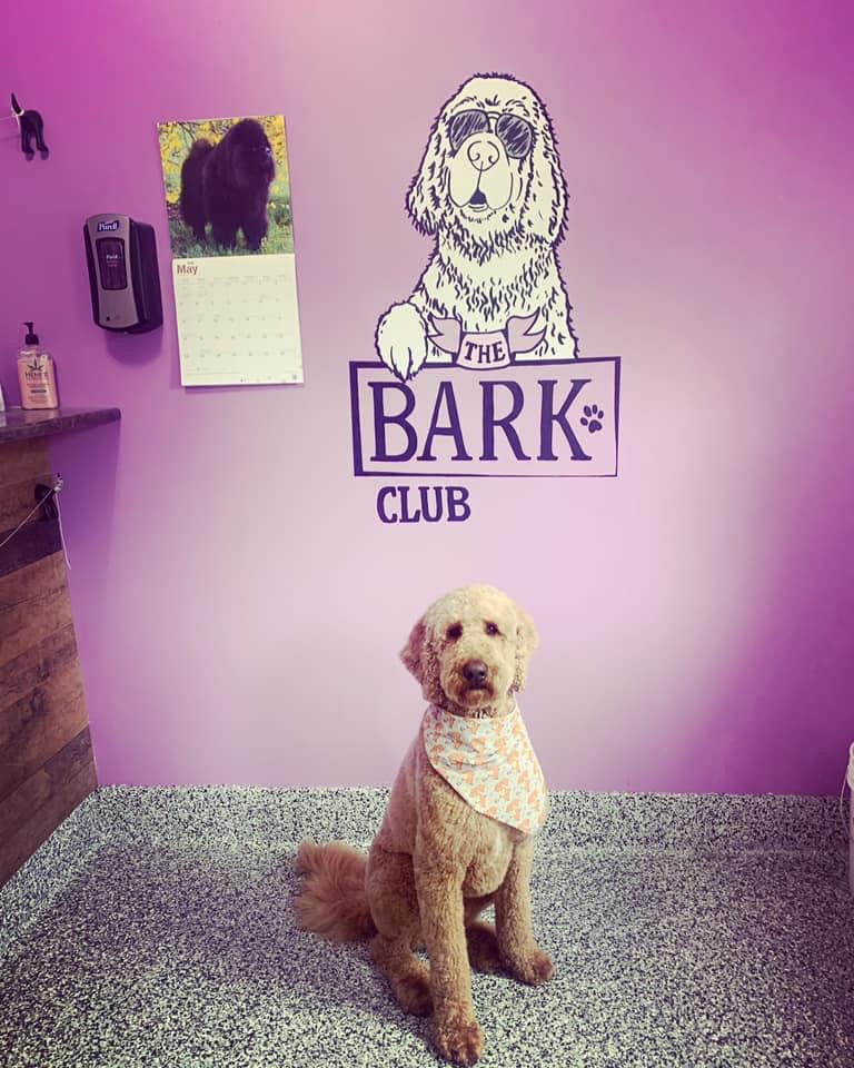 The Bark Club NB | 325 Whites Settlement Rd, Cocagne, NB E4R 3P4, Canada | Phone: (506) 871-4854