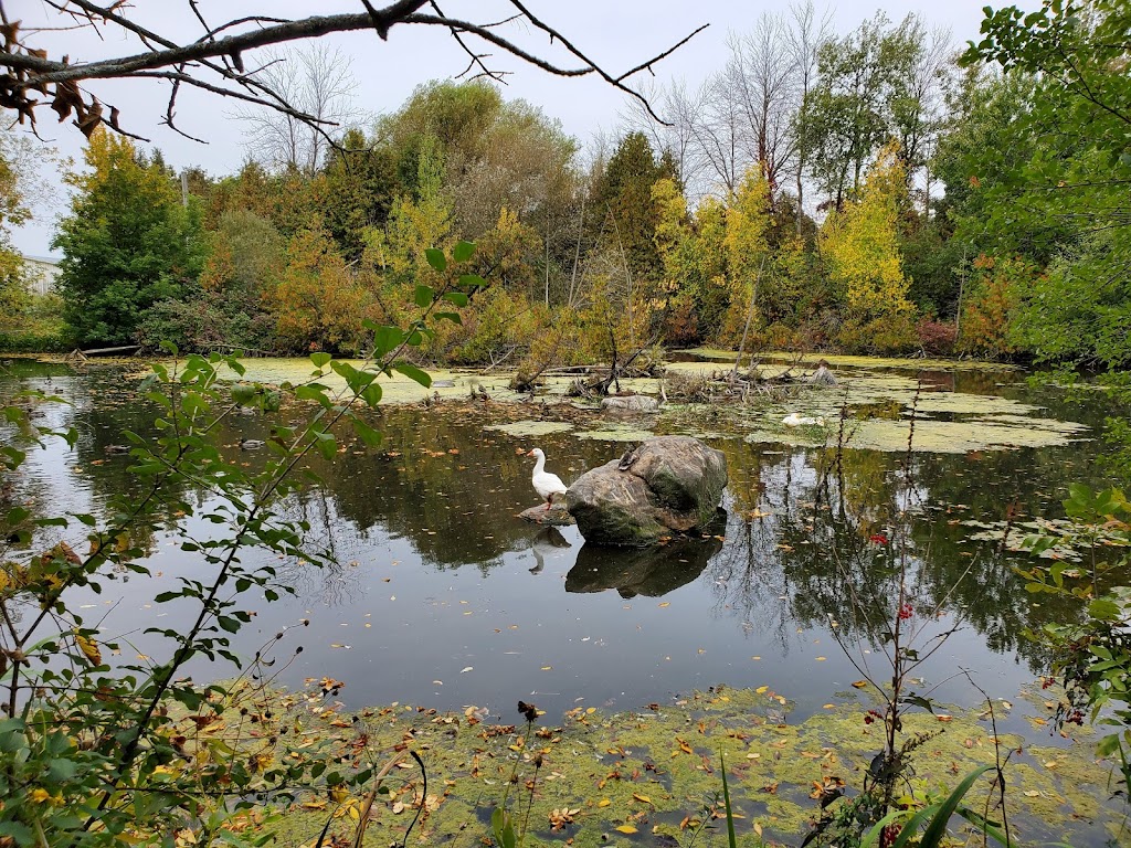 Ferme LAuteuilloise | 830 Bd des Mille-Îles, Laval, QC H7J 1E7, Canada | Phone: (450) 625-8826