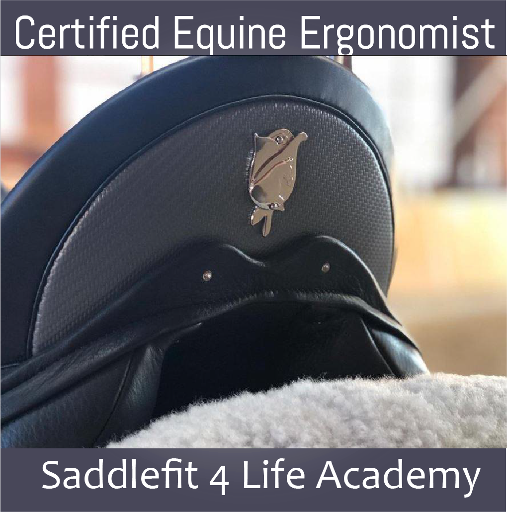 Saddlefit 4 Life® | 82 Derby Ct, Newmarket, ON L3Y 5Z9, Canada | Phone: (800) 225-2242