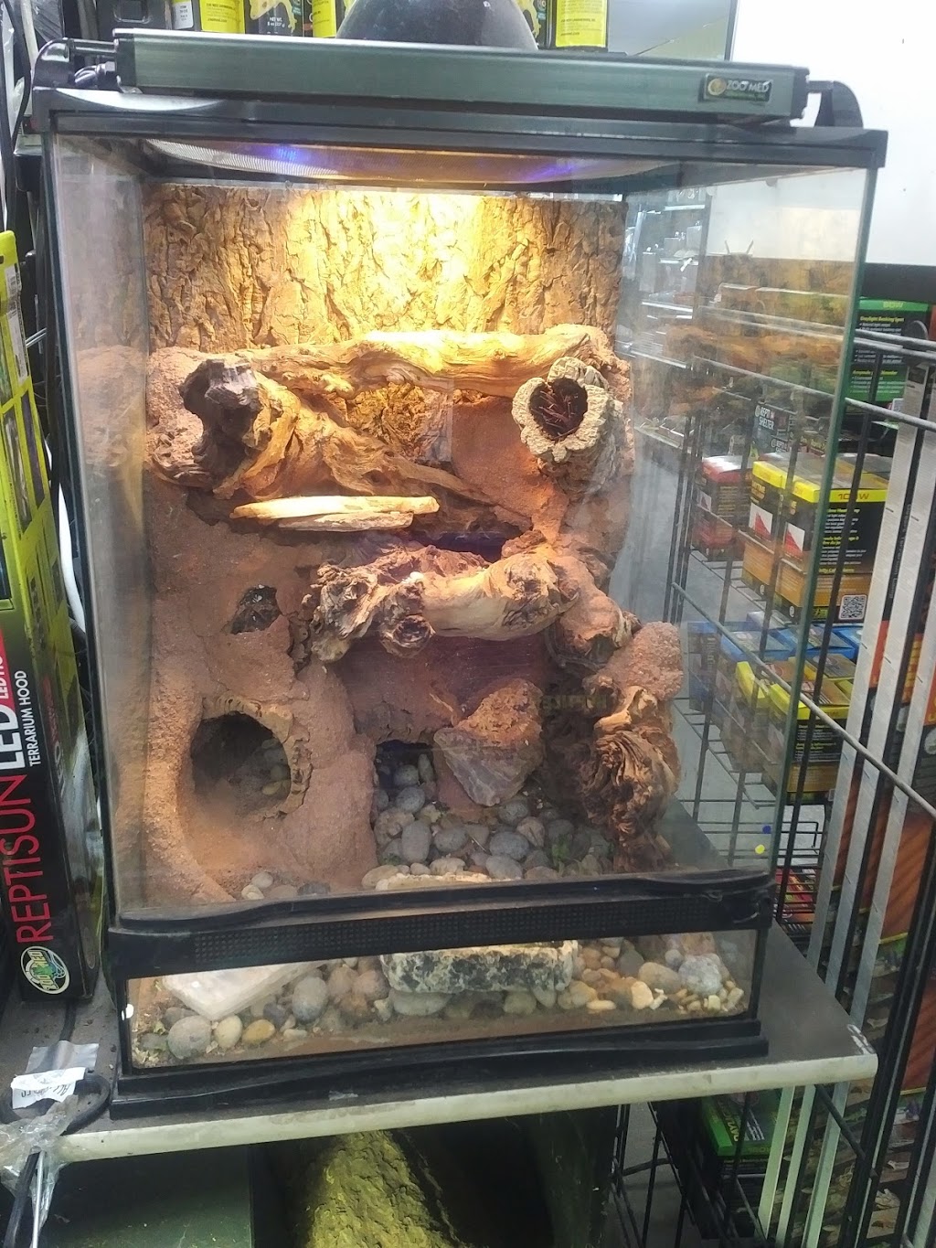 All Reptiles | 99-1911 Kennedy Rd, Scarborough, ON M1P 2L9, Canada | Phone: (647) 343-0669