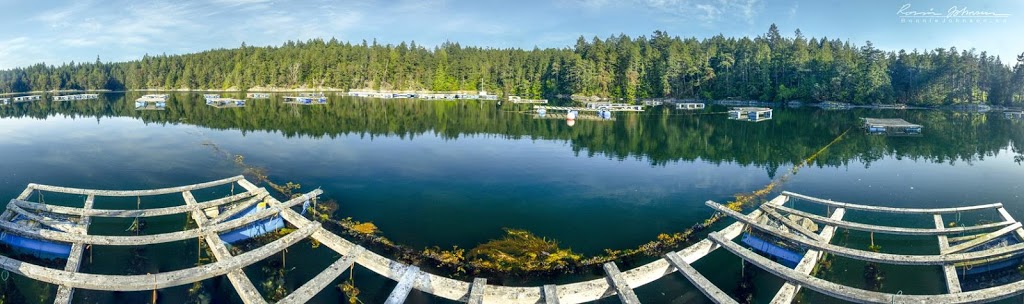 Sailor’s Seafoods | 900 Columbia St, Lasqueti Island, BC V0R 2J0, Canada | Phone: (250) 333-8727