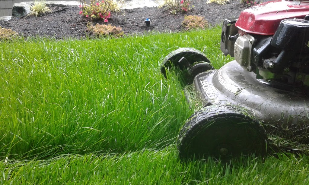 Beauty & The Beast Lawn Care | Haultain St, Victoria, BC V8R 2L3, Canada | Phone: (236) 464-5958