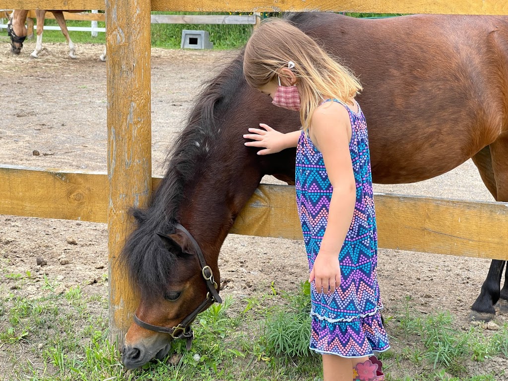 Queenswood Stables | 518 Smith Rd, Navan, ON K4B 1H8, Canada | Phone: (613) 835-2085