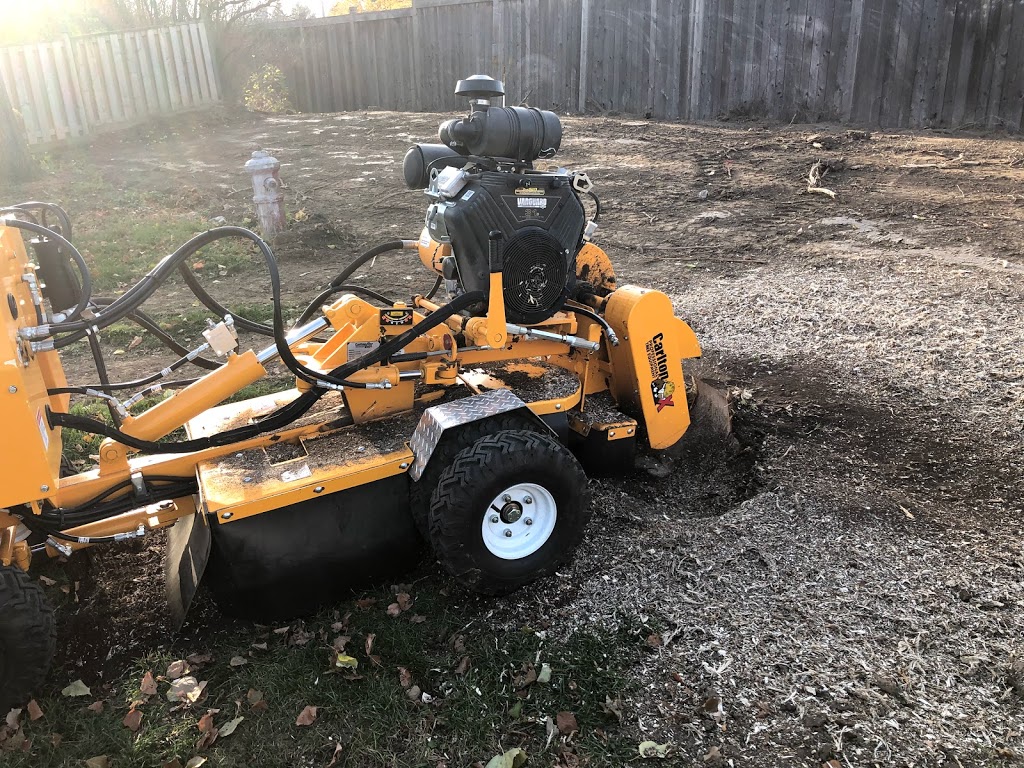 RTE Stump Grinding And Tree Services | 5269 Steeles Ave W, Milton, ON L9E 0R6, Canada | Phone: (905) 699-5029