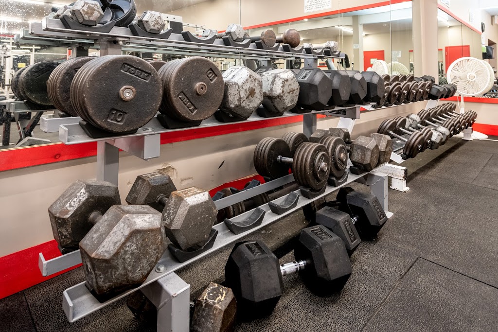 Prince Edward Fitness & Aquatic Centre | 13263B Loyalist Pkwy, Picton, ON K0K 2T0, Canada | Phone: (613) 476-7776