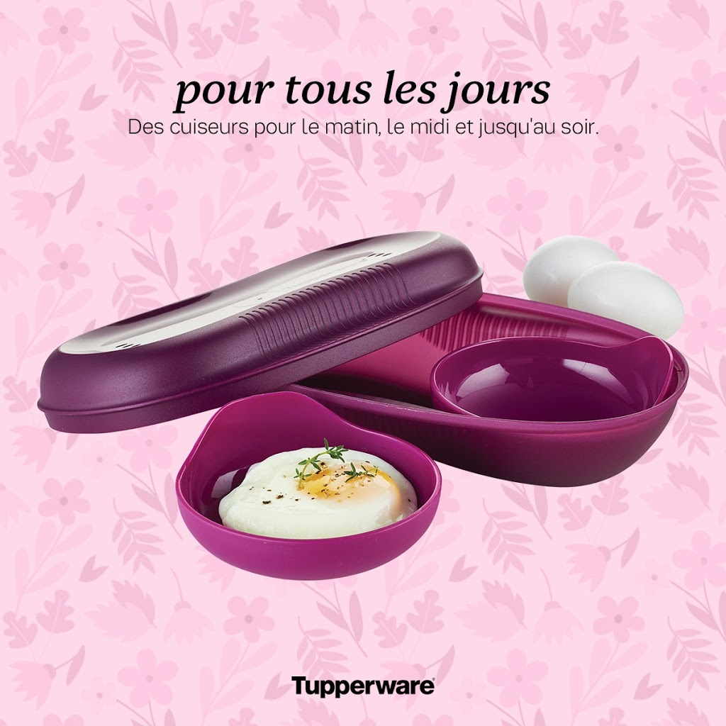 Mélanie Daigneault Tupperware | 338 Croissant des Ruisseaux, LÉpiphanie, QC J5X 0A2, Canada | Phone: (514) 661-2633