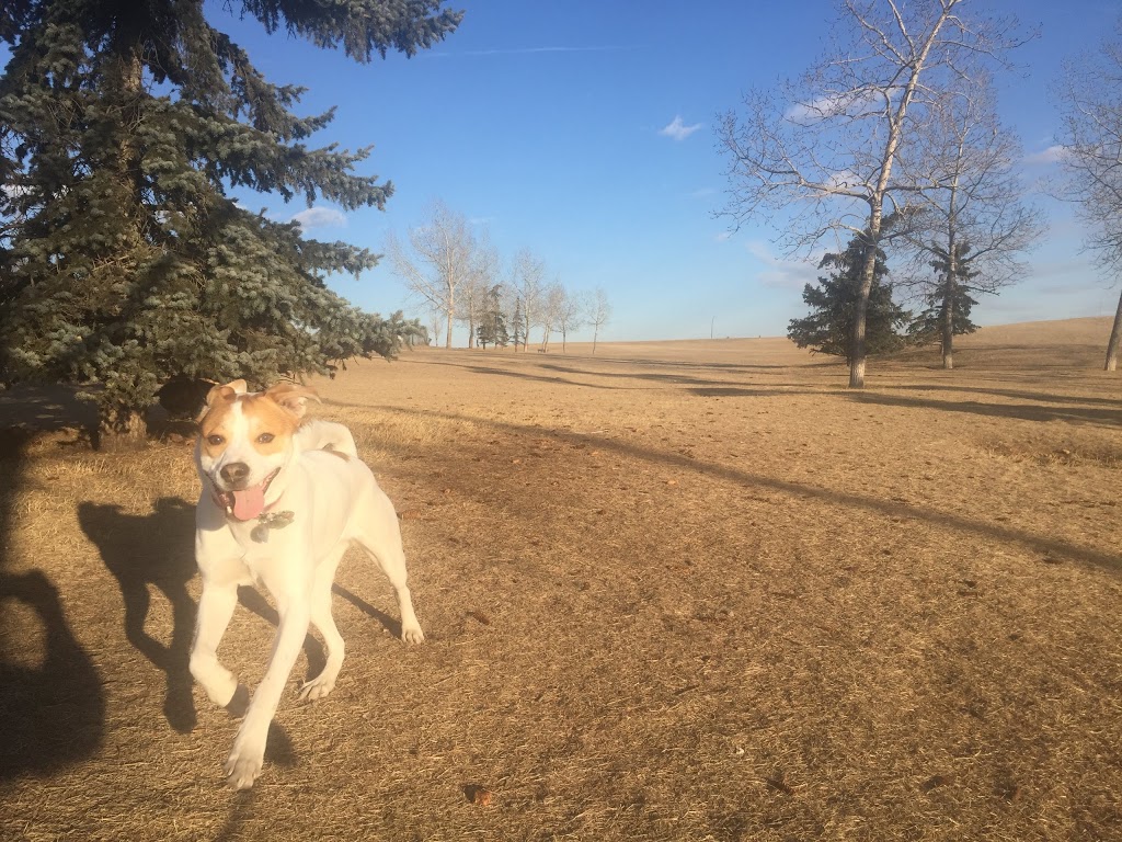 Mcknight/Falconridge Dog Park | 111 Falwood Way NE, Calgary, AB T3J 1A8, Canada